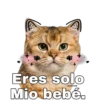 Gatitos. 28
