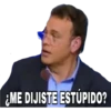 ¿ME DIJISTE ESTÚPIDO?