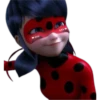 Ladybug-Miraculous(Rose) 30