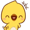 Pollito Lindo 19