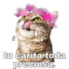 Gatitos. 29