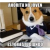AHORITA NO JOVEN
ESTOY ESTUDIANDO
meregenerator.net