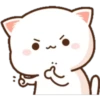 Mochis cat 2 30