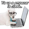 Ya va a empezar
la dasem