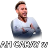 QN
AH CARAY V