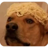 Perritos Random 1 9