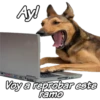 Ay!
dre
Voy a reprobar este
ramo