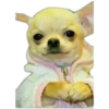 Perritos UwU 8