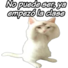 No puede eer ya
empező la dase