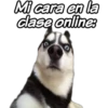 MI cara en la
dase online:
