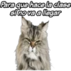 Para que hace la dase
sino va a llegar