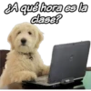 SAqué hora es la
dase?