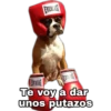 Perritos UwU 14