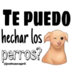 TE PUEDO
hechar los
perros?
@joshuacaprii