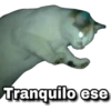 Tranquilo ese