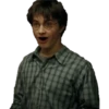 Harry Potter 10