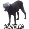 CONFIRMO