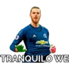 odidas
CHEVROLEL
TRANQUILO WE