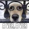 Perritos UwU 15