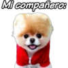 Mi compaieros
