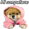 Mi compañeras
