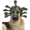 Perritos Random 1 17