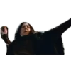 Harry Potter 11