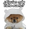 SAlguien más
tiene sueño?