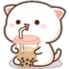 Mochis cat 1 Yeisi 8