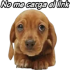 No me carga el link