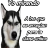 Yo mirando
Alos que
eearreglan
para la
dase online
