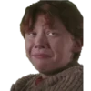 Harry Potter 12