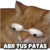 ABR TUS PATAS