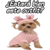 Estará bien
este outfit?