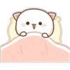 Mochis cat 1 Yeisi 11