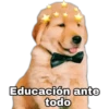 Perritos UwU 19