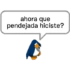ahora que
pendejada hiciste?