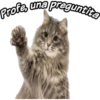 Profe, una preguntita