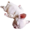Perritos UwU 21