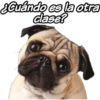 Cuándo es la otra
dase?