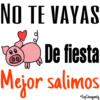 NO TE VAYAS
De fiesta
Mejor salimos
Soy Choogomila