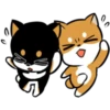 CHIBI SHIBABAN #2 21