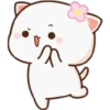 Mochis cat 1 Yeisi 18