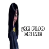 Los Increíbles 16
