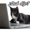 Qué dijo?