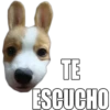 Perritos UwU 24
