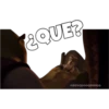 ¿QUE?
SOYCHOOQOMILO