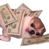 Perritos UwU 26