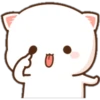 Mochis cat 1 Yeisi 24