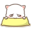Mochis cat 1 Yeisi 25